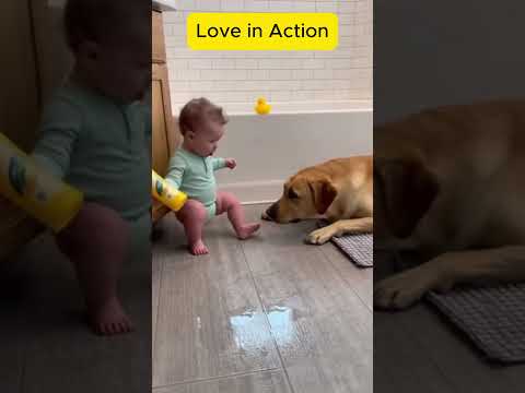 Phillies land All-Star closer Jhoan Duran ahead of MLB trade deadline 👀🔥 #JhoanDuran