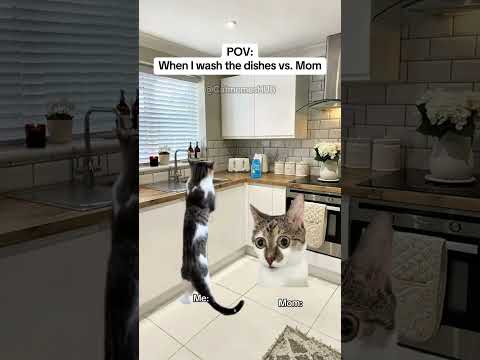 CAT MEMES 🐱When I wash the dishes vs. Mom #catmemes #relatable #relationship