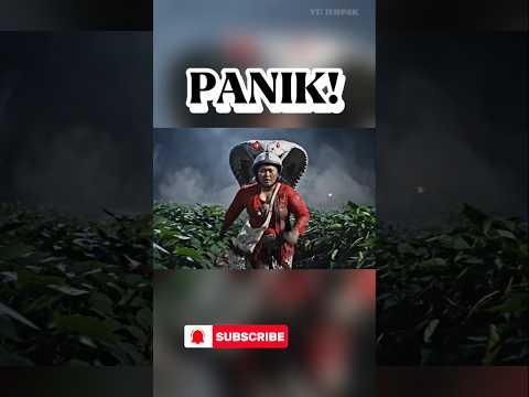 Nenek  Dikejar Ular Putih di Kebun Ubi! 😱🐍