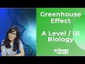 Greenhouse Effect and Climate Change