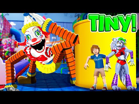 TOP SECRET TINY FNAF Secret of the Mimic Hide and Seek