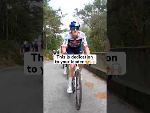 True devotion to the cause 🫡 #cycling #procycling #ton25
