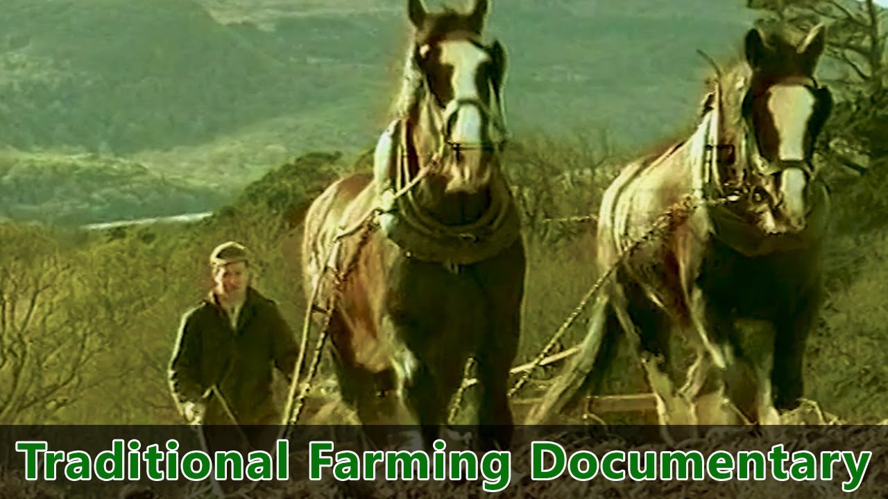 Traditional Farming Documentary -Farm life in Ireland during the 1930s – “Preserving the Past”