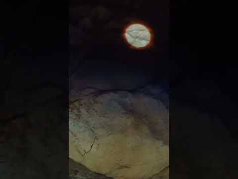 鍾乳洞に映し出されるプロジェクションマッピングが長い歴史を感じさせる