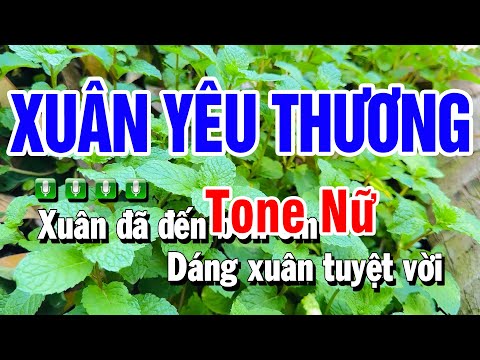 Karaoke Xuân Yêu Thương Nhạc Sống Tone Nữ C#m | Beat Huỳnh Anh