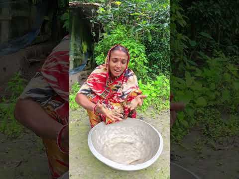 আমাদের বাড়ির পাশের খাল থেকে আপনাদের দাদা গলদা চিংড়ি ধরছি। গ্রামীন জীবন। #farming #beeffry #food