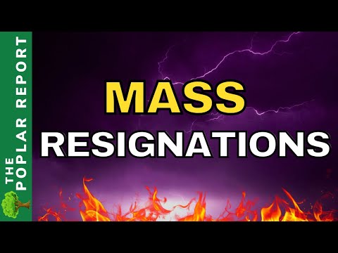 🚨🚨Totally FED Up! - & Watchmen Updates