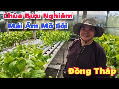 Những Ý Tưởng Lo 35 Bé Mồ Côi Và 200 Em Học Sinh Tại Chùa Bửu Nghiêm Đồng Tháp | Khương Nhựt Minh