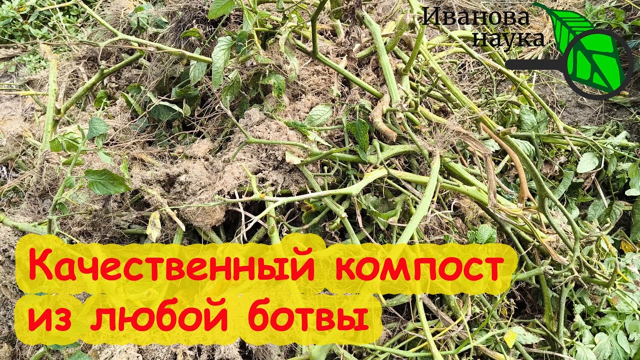 Компост из больной ботвы! Как сделать больную ботву в компост качественный компост из ботвы.