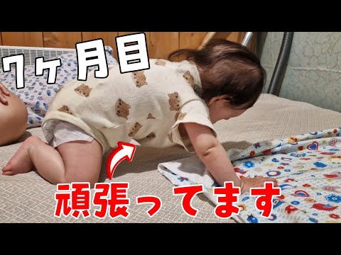 【生後7ヶ月目】ハイハイする寸前！めちゃ頑張ってます！