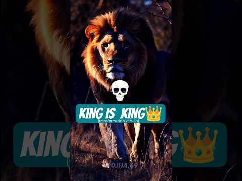 Sigma Animals🗿🍷 #shorts