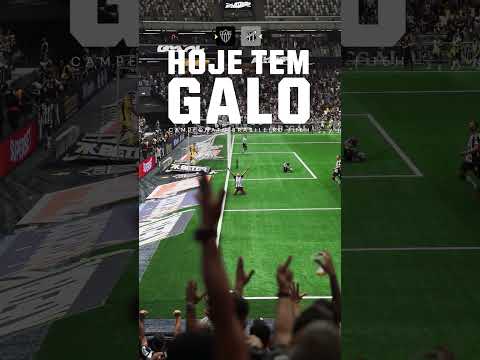 image para ilustrar o artigo