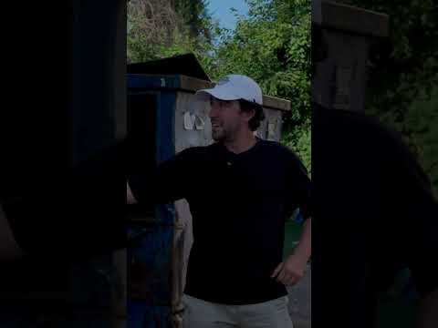 Chaos Ensues: Unexpected Moments and Hilarious Reactions #shorts