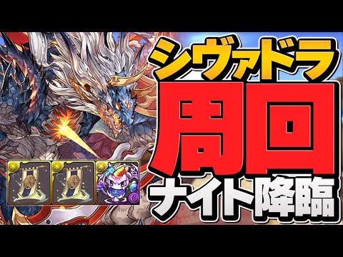 シヴァドラでナイト降臨をソロ周回！1周3分で快適に素材を集めよう！【パズドラ】