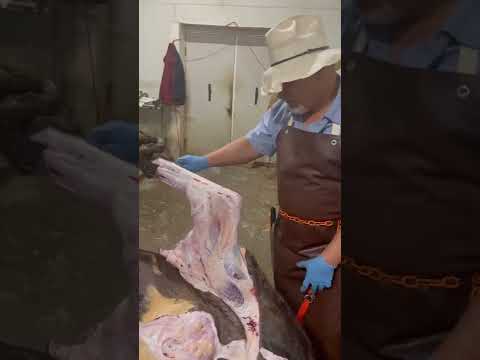 Gracias por suscríbete ami canal de YouTube #viral #foryou #foryoupage