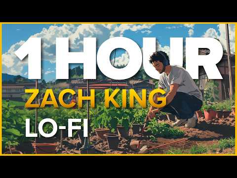 Zen Garden Lo-Fi Music to Grind Assignments to | Zach King Magic [1 HOUR]