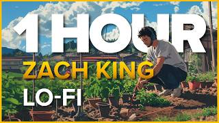 Zen Garden Lo-Fi Music to Grind Assignments to | Zach King Magic [1 HOUR]