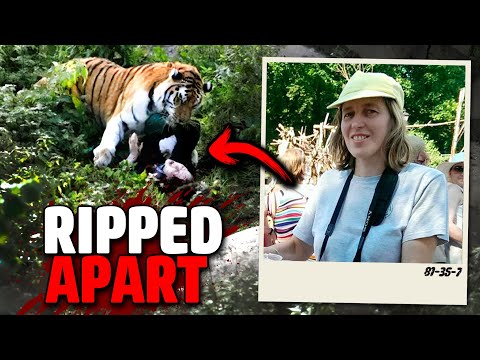 Tiger Attack Leaves Zookeeper Dead at Zurich Zoo!