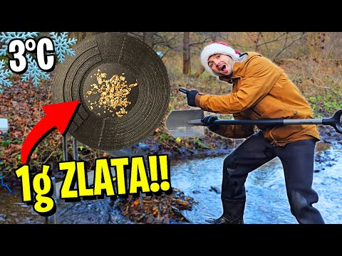 Vánoční RÝŽOVÁNÍ  ZLATA v 3°C!