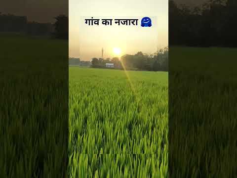 mayabini Amar chokhe // gaon ka najara // subah // Zubeen Garg // best of Zubeen Garg // #shorts