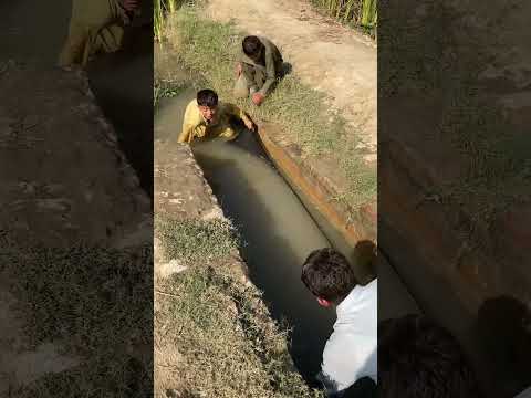 #🤲🏻🐟🐟😱#fishing #fish #fishing #funny #fish #