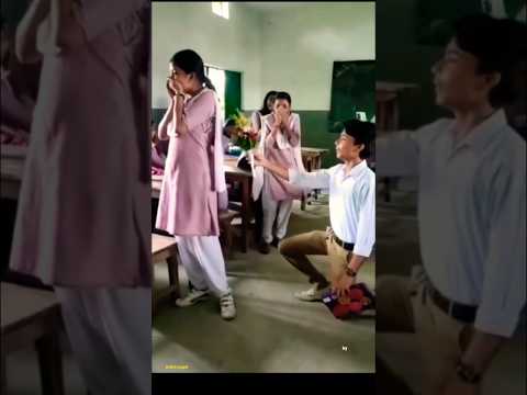Kokaina #shorts #viralvideo #love #Kokaina