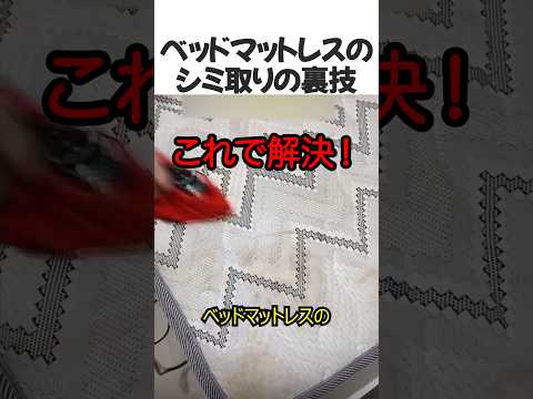 ベットマットレスのシミ取りの裏技#shorts #ライフハック#lifehacks