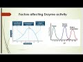 Enzyme Function and Photosynthesis Concepts