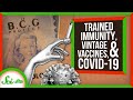 Understanding BCG Vaccine and Its Potential Role in COVID-19