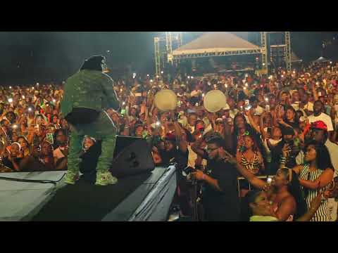 Intence First New Rules Performance