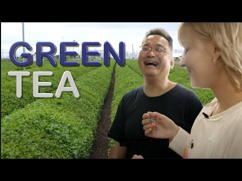 The most delicious green tea in Japan, it's Sayama-cha!