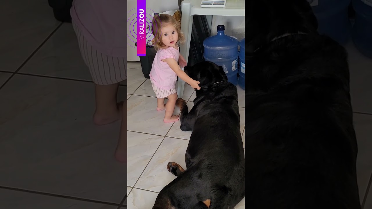 Mãe pega bebê tentando alimentar o cachorro escondida