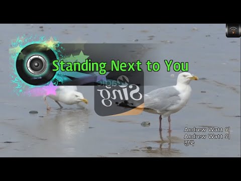 [🎙노래방플리] 정국(BTS) 🎶 Standing Next to You karaoke