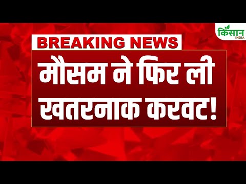 #breakingnews: Weather Update: Monsoon 2025 ने फिर पकड़ी रफ्तार, Heavy Rain-Strom का Alert
