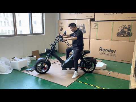 Rooder mangosteen electric scooters r804-m6 3000w 25ah Eec coc with double seats