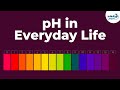 pH Effects on Aquatic Life and Soil