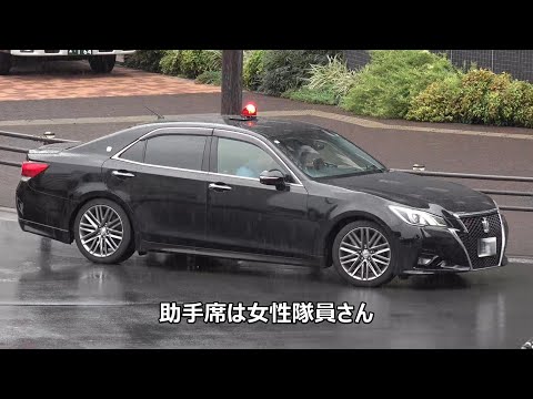 【信号無視を現認した覆面パトカー出撃！】緊急走行の東京ガス作業車が行動を起こさないドライバー連中に足止めを食らう…救急車にいち早く気付いた運転手さんが素晴らしい動き・何かを感じた自ら隊PCの職質・お盆