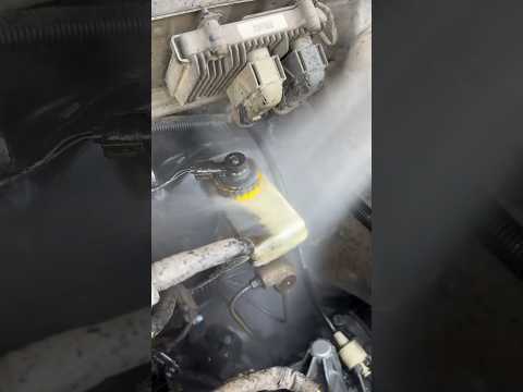 Lavagem detalhada de motor #asmr #explore #detailing #vonixx #details #lavagem #lavagemdemotor