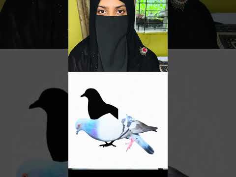 দেখি কে মিলাতে পারে