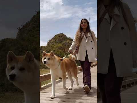 Aproveitando o Algarve com KYRON 😍❤️ #gabrielarocha #meatraiu