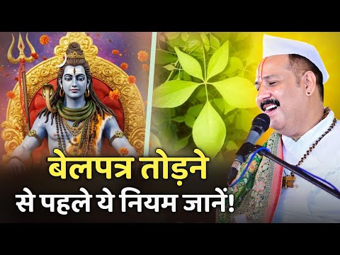 बेलपत्र तोड़ने से पहले ये नियम जानें ! @panditpradeepmishraofficial