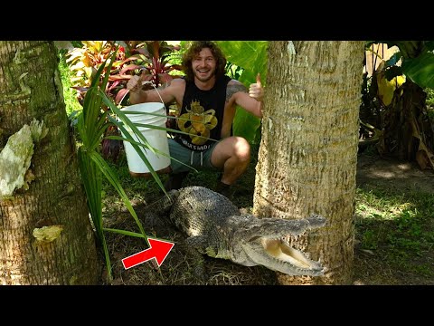 Raiding Crocodile Nest!