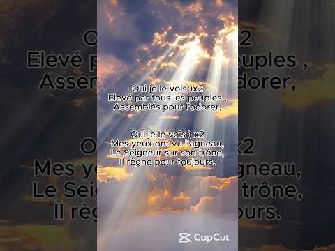 Oui je le vois (Melodies Cover) #relaxingmusic #music #sunset #love