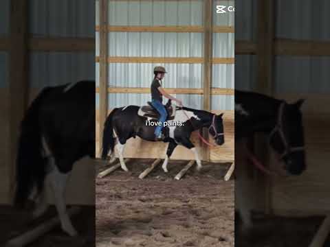 Joeeee #horse #equestrianjourney #horseenthusiast #stopanimalabuse #horsefan #pony #youareoneofakind