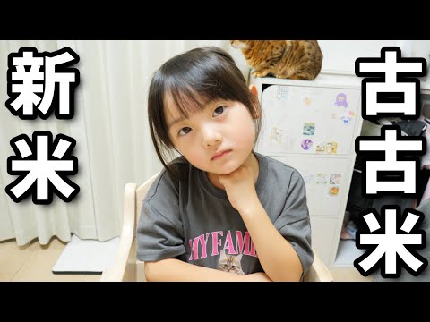 古古米と新米を食べ比べてみた。忖度なし6歳娘の正直すぎる感想は？