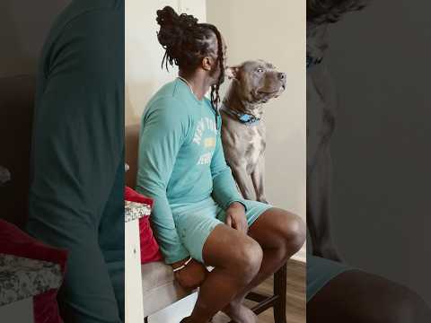 Now I gotta give him chicken๐๐ถ๐๐๐ฟ #dog #funny #comedy #dogowner #dogfans #dogsworld #doggie