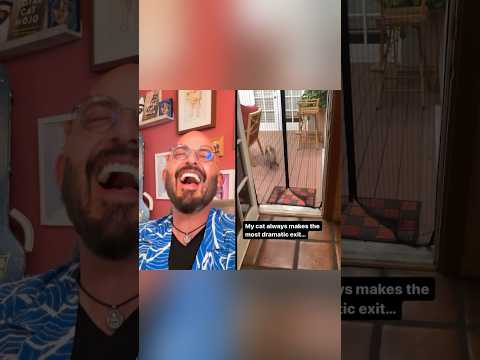 Now THATโS how you make an entrance! #funnycats #catvideos #reaction