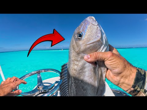 Florida Keys Fishing {WHOLE COOKED FISH} catch and cook