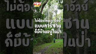 ป้องป่ามัคคุเทศก์น้อยที่มีบ้านอยู่ในป่า ❗🌳🐍