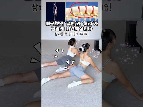 골반과 허리가 놀랍게 시원해지는 #극락스트레칭 #흥둥이 #홈트추천